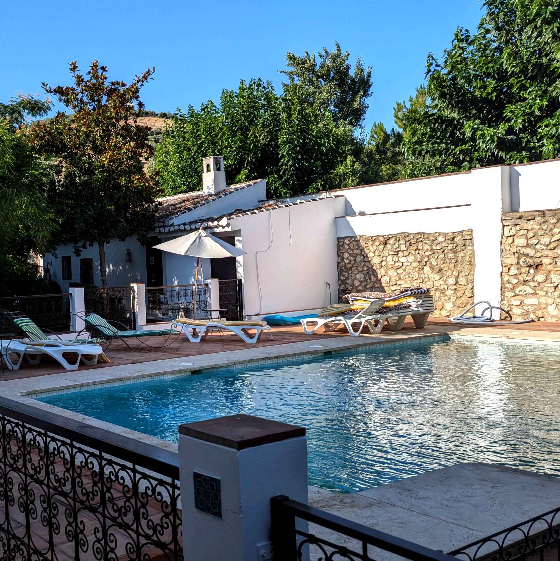 Almazara de Solerche pool with deckchairs on the side