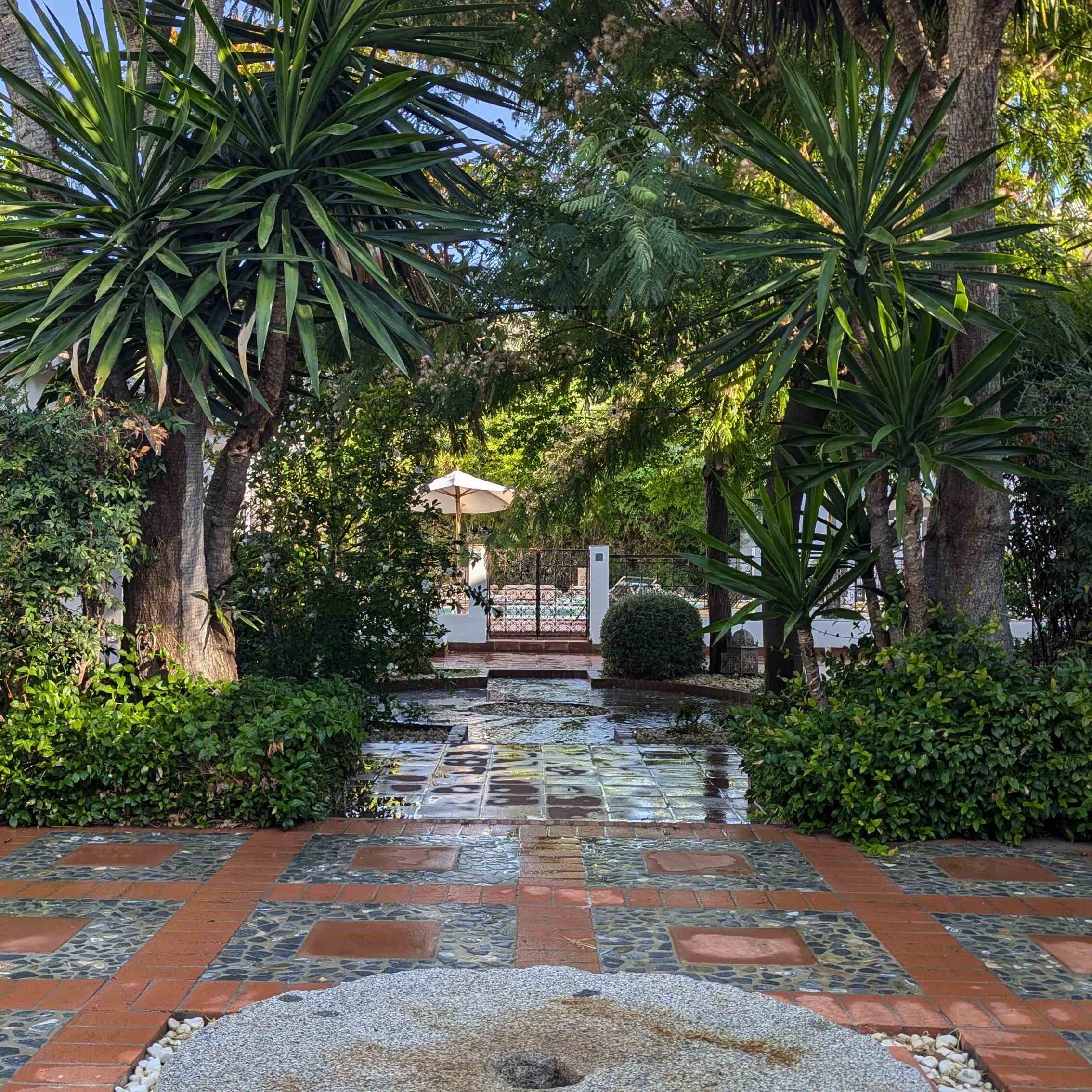 Moroccan inspired gardens after rainfall